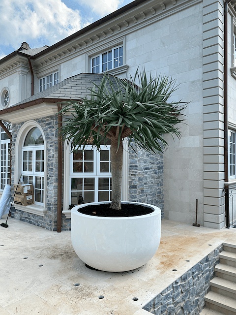 nice house